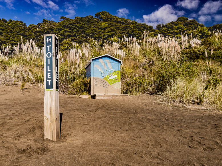 Bethells Beach Te Henga NZ