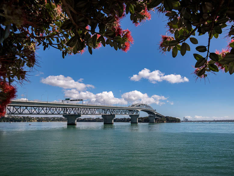 Auckland Harbour Bridge NZ