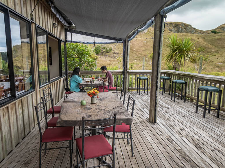 Nikau Cave and Cafe NZ