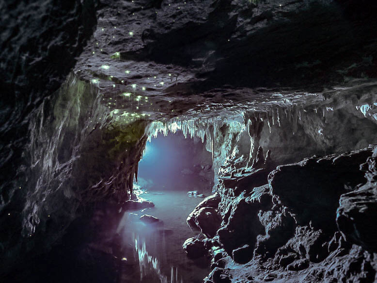 Nikau Cave NZ